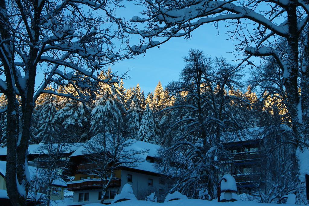 Gasthof Schwarzwaldtanne Schönwalde Екстериор снимка