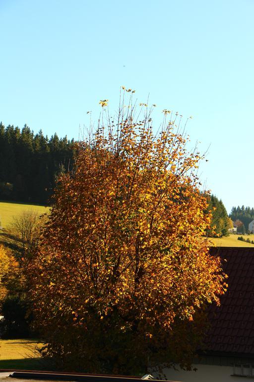 Gasthof Schwarzwaldtanne Schönwalde Екстериор снимка