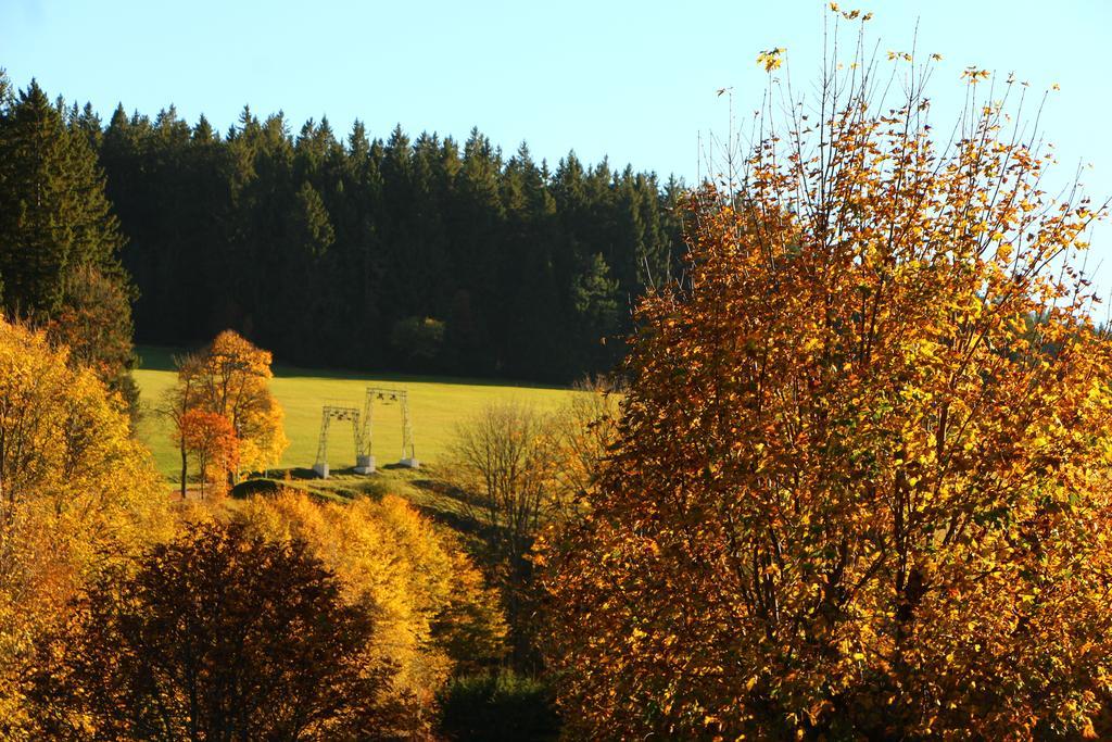 Gasthof Schwarzwaldtanne Schönwalde Екстериор снимка